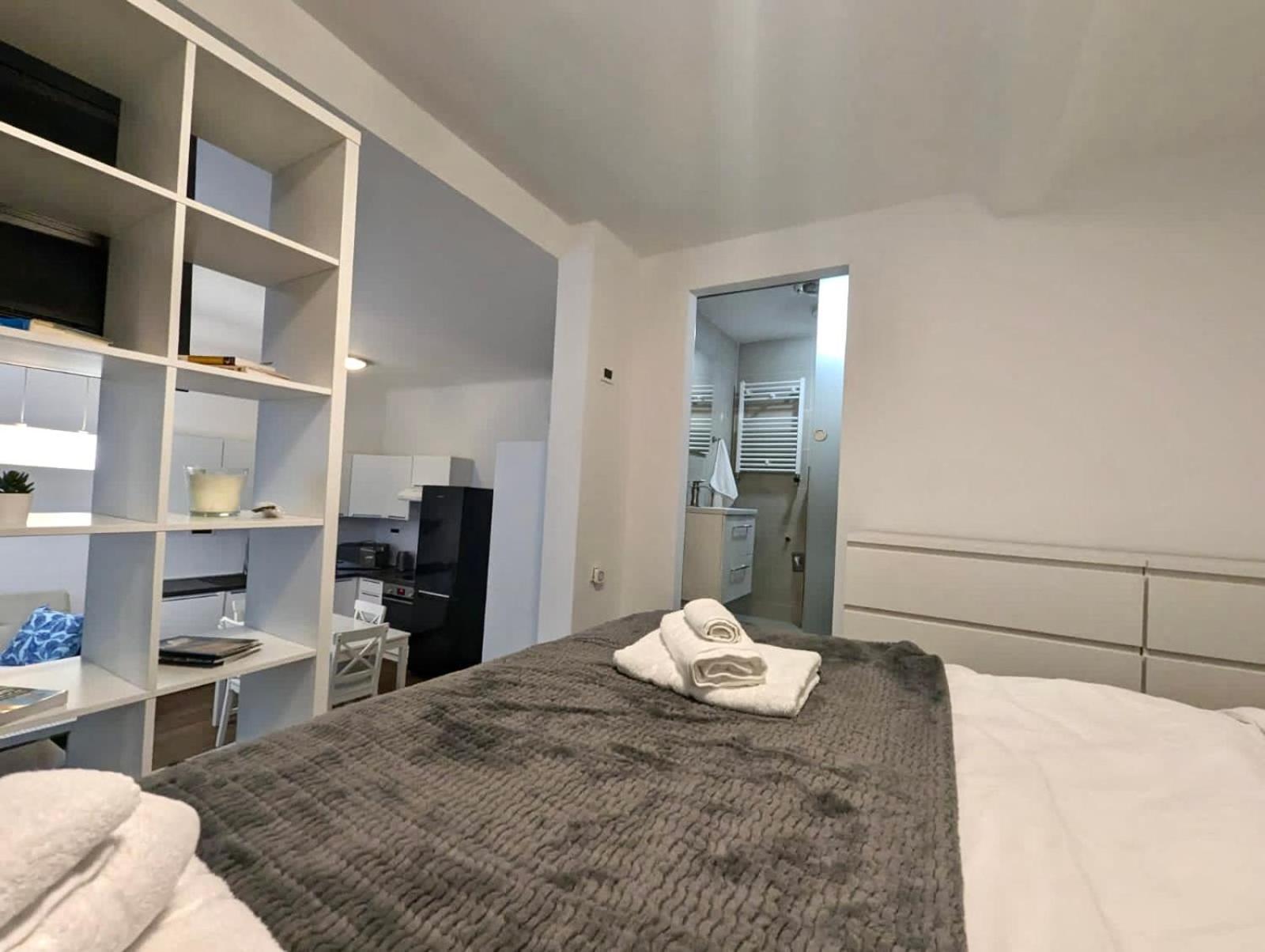 Fantabulous Downtown Abode W King Bed, 65" Tv, Washer And Tumble Dryer زغرب المظهر الخارجي الصورة